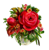 a bouquet of flowers 